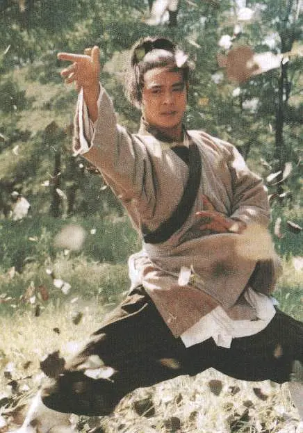 太极张三丰 太極張三豐1993剧照1