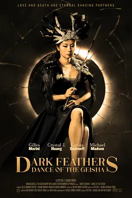 暗翎之舞 Dark Feathers（2024） 海报