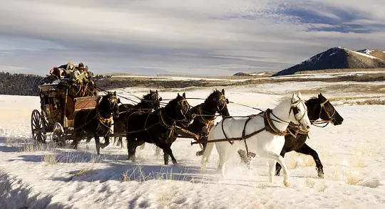 八恶人 The Hateful Eight2015剧照3