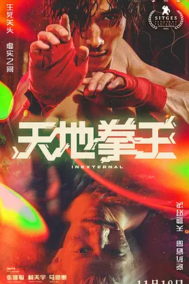 天地拳王 裡應外合（2024） 海报
