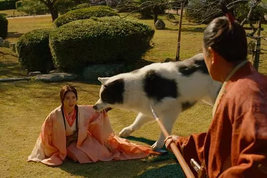 八犬传2024剧照1