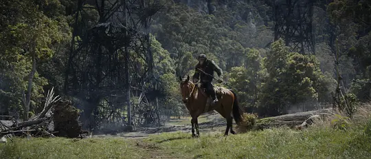 猩球崛起:新世界 Kingdom of the Planet of the Apes2024剧照1