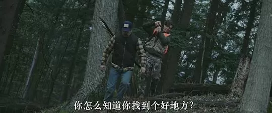 狼群出动2024剧照3
