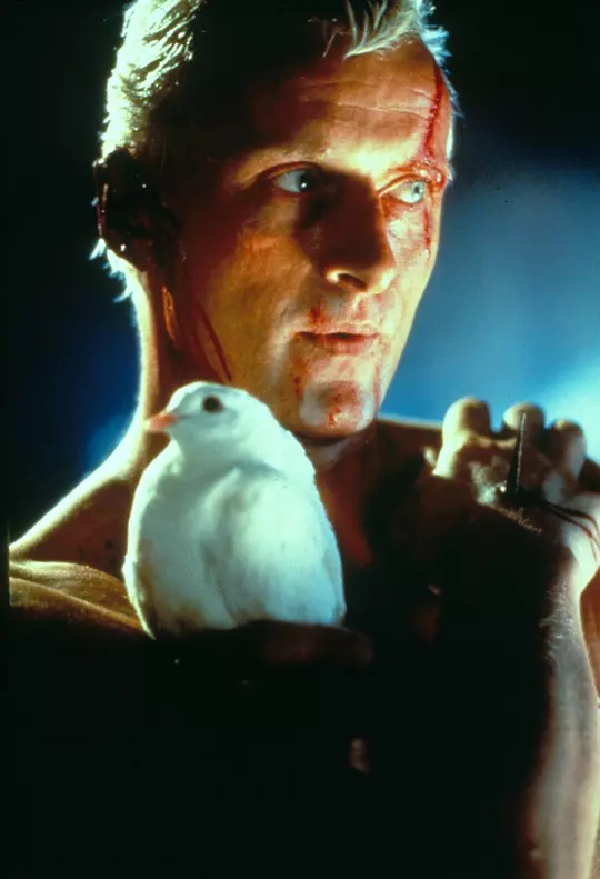 银翼杀手 Blade Runner1982剧照2