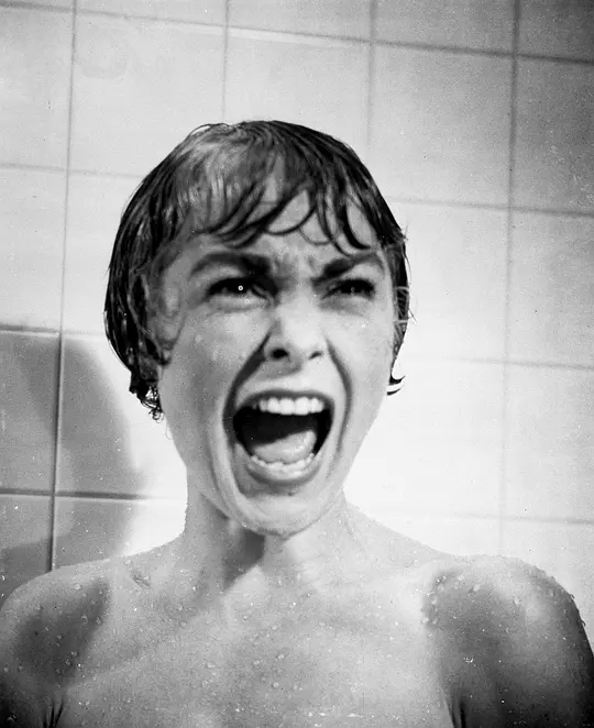 惊魂记 Psycho1960剧照2