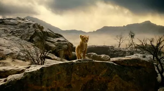 狮子王：木法沙传奇 Mufasa: The Lion King2024剧照3