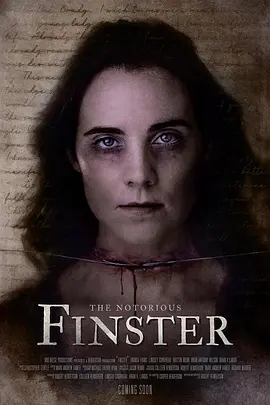 连环杀手芬斯特 The Notorious Finster（2024） 海报