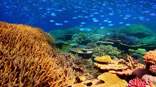 海洋:我们的蓝色星球 Oceans: Our Blue Planet2018剧照1