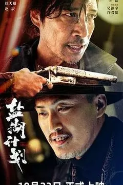盐湖计划（2024） 海报