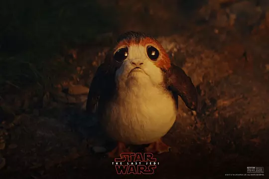 星球大战8:最后的绝地武士 Star Wars: The Last Jedi2017剧照3