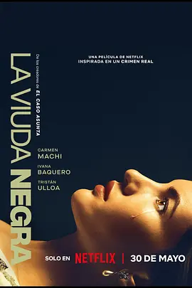寡妇游戏 La viuda negra（2025） 海报