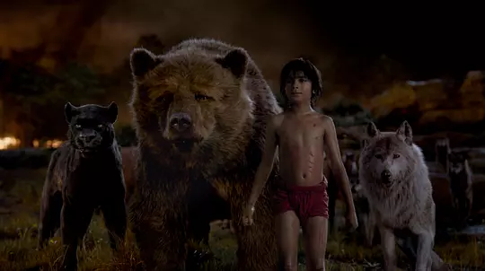 奇幻森林 The Jungle Book2016剧照3
