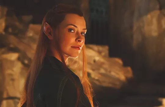 霍比特人2：史矛革之战 The Hobbit: The Desolation of Smaug2013剧照3