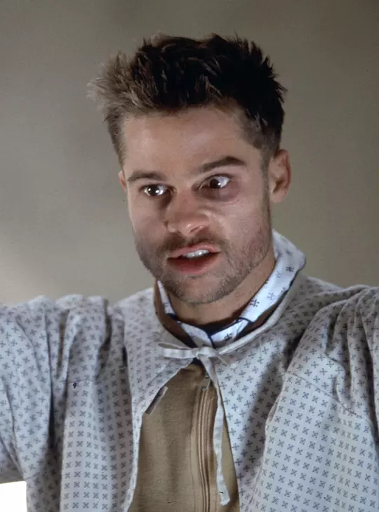 十二猴子 Twelve Monkeys1995剧照1