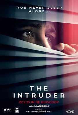 疑影夜袭 The Intruder（2025） 海报