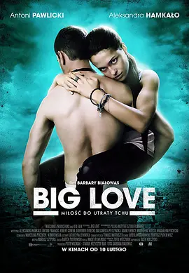 大爱 Big Love（2012） 海报