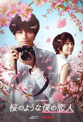 我的樱花恋人 桜のような僕の恋人（2022） 海报
