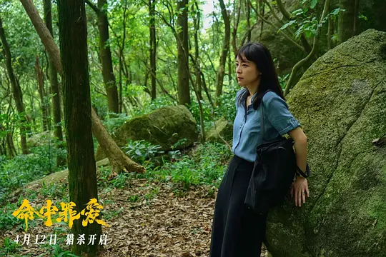 命中罪爱2025剧照3