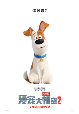 爱宠大机密2 The Secret Life of Pets 2（2019） 海报