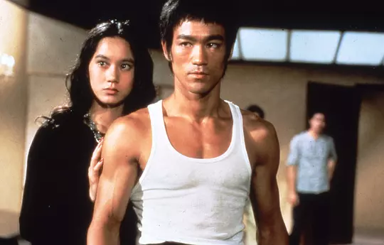 猛龙过江 猛龍過江1972剧照1