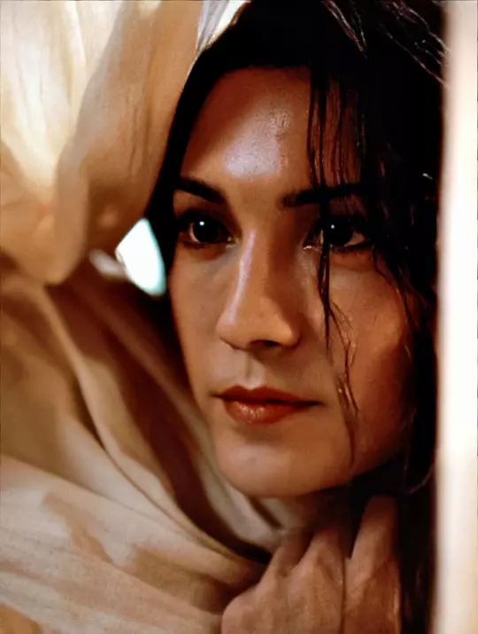 蝴蝶君 M. Butterfly1993剧照1