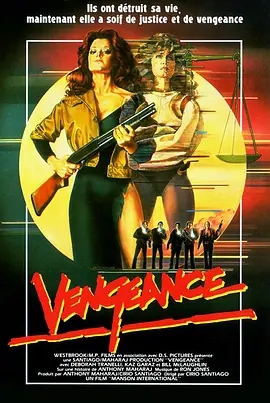 赤裸复仇 Naked Vengeance（1985） 海报