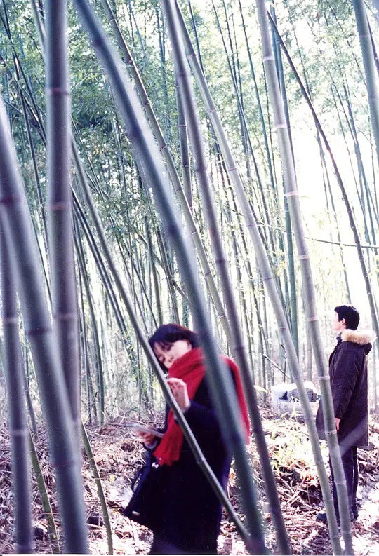 春逝 ??? ??2001剧照3