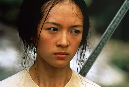 卧虎藏龙 臥虎藏龍2000剧照2