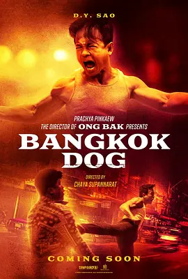 曼谷战狼 Bangkok Dog（2024） 海报