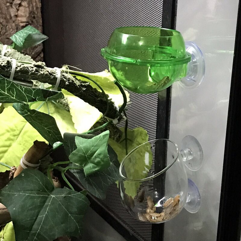 Suction Cup Glass Climbing Pet Live Insects Escape Escape Food Bowl