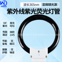 Ultraviolet Violet UV light source wavelength 365nm fluorescent ring tube microscope 8W light source black light