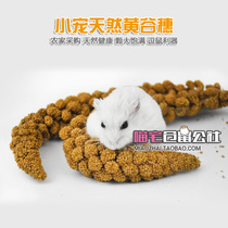 (Mansion House) Hamster Natural Yellow Valley Spike Add Coarse Fiber Tearoo Stick Big Valley Scion with a load of about 30 gr