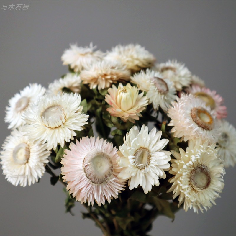 Dry flower dry flower bouquet with flower flower flower flower flower arrangement with flower flower vase fittings to take pictures of stalk chrysanthemum