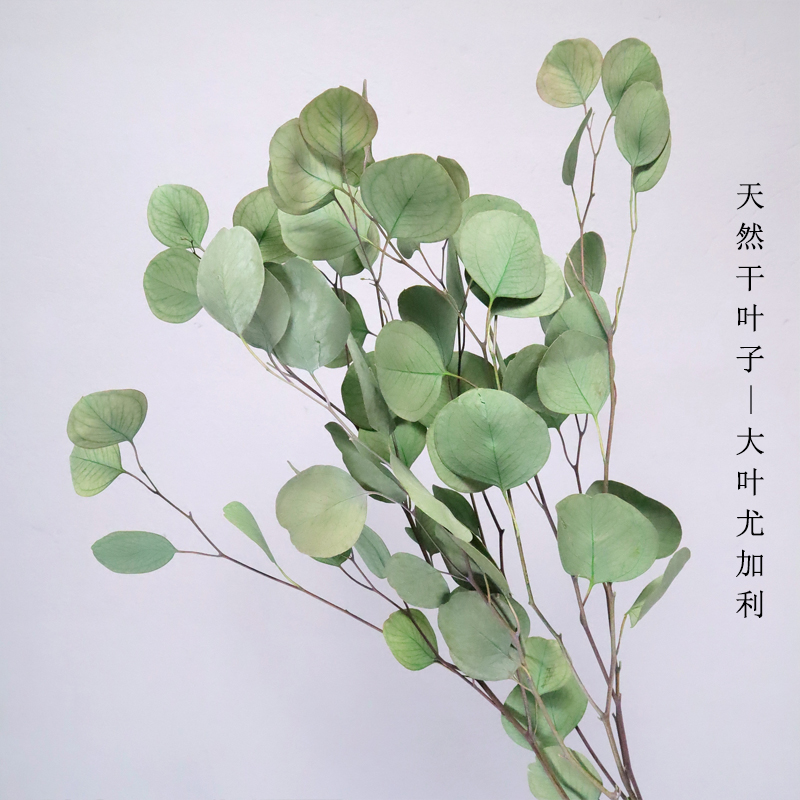 Natural plant immortality dry flower high end Yughali leaf light luxury dry bouquet glass bottle dorm room installation