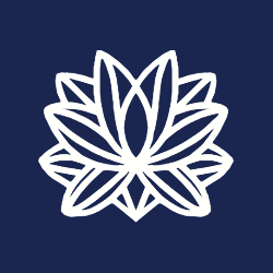 青欢记