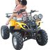 SUV nhỏ Bull điện ATV Quad Wheel SUV Tất cả địa hình Xe đạp địa hình đôi Mini Bull ATV giá xe cào cào mini Xe đạp quad