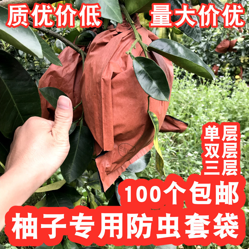 Free Shipping for Pomelo-Specific Insect-Proof Fruit Bags, Double 30, Triple Layer 32, Yellow-Red Flesh, Three Red Honey Pomelos, Golden Pomelos, Ma's Pomelos Free Shipping for Pomelo-Specific Insect-Proof Fruit Bags, Double 30, Triple Layer 32, Yellow-Red Flesh, Three Red Honey Pomelos, Golden Pomelos, Ma's Pomelos