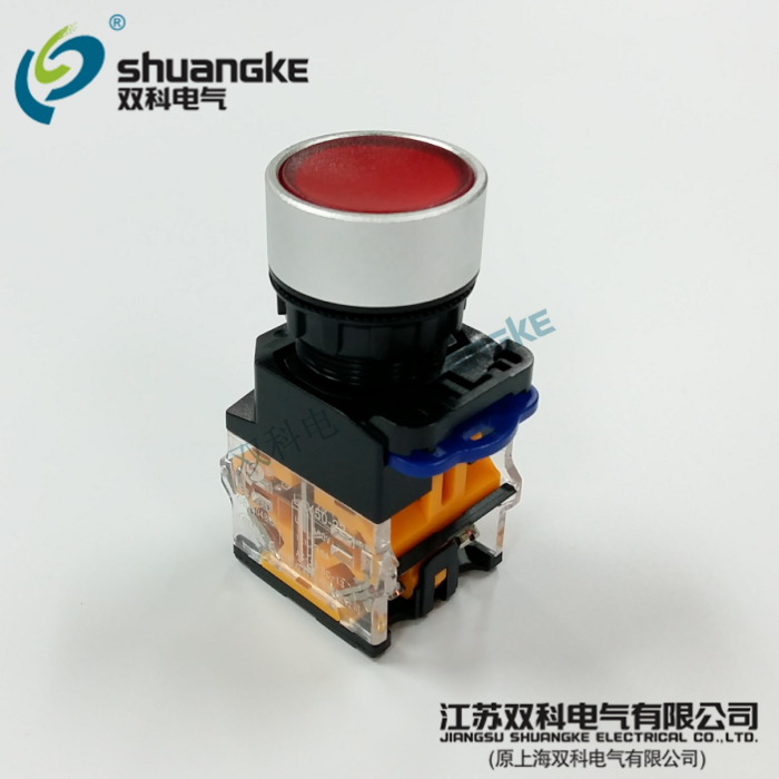 Jiangsu Shuangke Electric LAY50-22DX-11T jog flat button self-locking button switch with VAT invoice