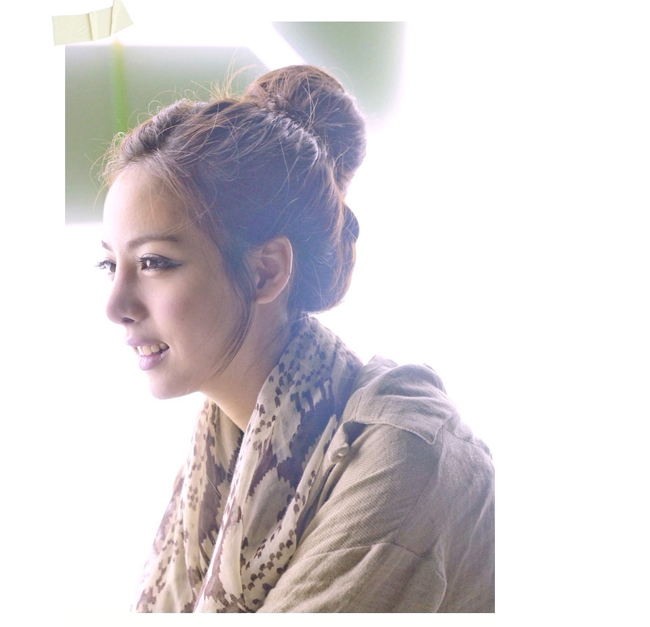 Extension cheveux - Chignon - Ref 236042 Image 28