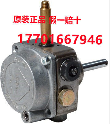 Liya road combustion oil pump 40G oil pump RBL oil pump G10LC oil pump burner BRL oil pump