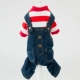Chó sọc rộng quần áo Teddy quần áo bốn chân quần áo chó nhỏ quần áo mùa thu chó con quần áo mùa đông hơn quần áo Xiong Keji - Quần áo & phụ kiện thú cưng