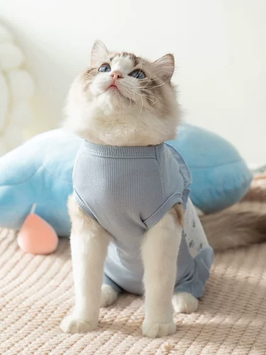 庤 纰 姳鍖 姳鍖 皻 皻 呰倸 呰倸 皻 鐗 ╁  挭 挭 湇阒 湇阒 帀 帀 涘 涘 涘 尗 煭 煭 庣 尗澶 忓    钖勬  钖勬 钖勬 钖勬 钖勬 煭 煭鐚 尗澶   钖勬  钖勬 钖勬 钖勬 钖勬钖勬 钖勬 钖勬 钖勬 钖勬  钖勬  钖勬 钖勬