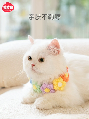 Шерсть большой карлапс Cat Pet Bar Kitter Circle Circles Jewelry Circle Cat Cat Cat Sect