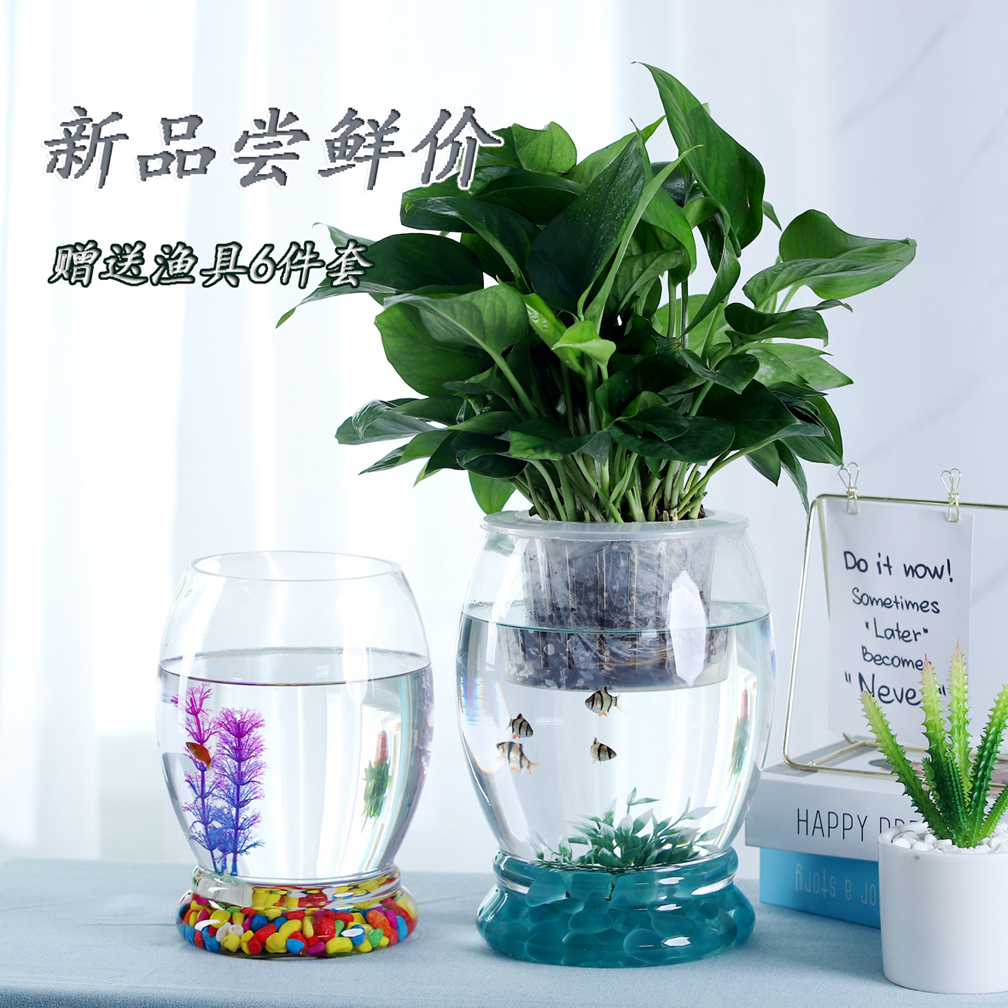 Creative Aquarium Ecological Oval Glass Goldfish Bowl Large Turtle Bowl Mini-Si Scenic Water Vase