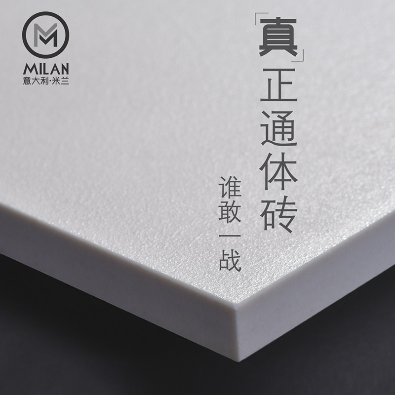 Foshan, Guangdong all-body tiles 600800 living room floor tiles matte pure white plain color micro cement toilet wall tiles