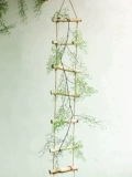 Bira Ladder Mori Creative Store Window Pendation Coundergarten Plant Угловая гостиная стена настенные настенные настенные