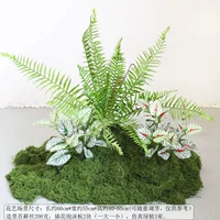 Набор зеленых растений своими руками C-(простая установка)