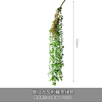 Черная длинная ручка зеленый евали