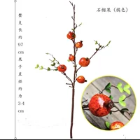 Гранат апельсин