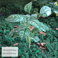 Один букет из 18 павлиньих цветов.